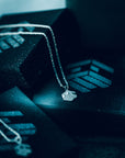 THE ICE CHAIN
